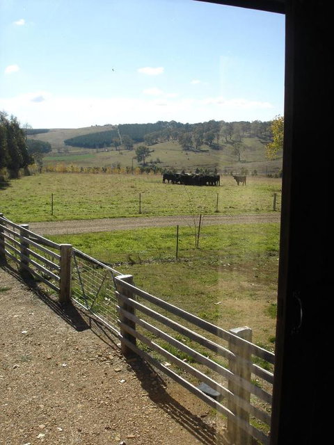 Black Sheep Inn - Accommodation Port Hedland 3