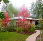 Dalrymples Guest Cottages - Accommodation Port Hedland