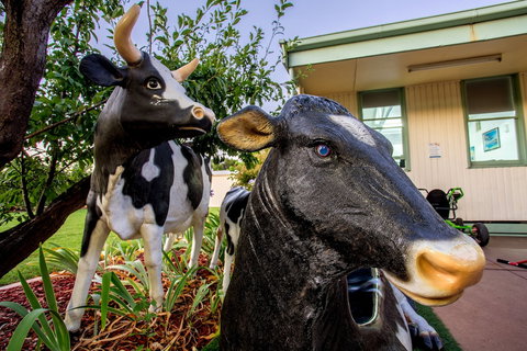 Big4 Shepparton Park Lane - Accommodation Port Hedland 0
