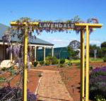 Lavendale Farmstay  Cottages York - Accommodation Port Hedland