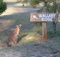 Wallaby Ridge Retreat - Accommodation Port Hedland