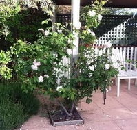 Ellesmere House - Accommodation Port Hedland