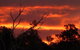 Launceston Bed & Breakfast Retreat - thumb 7