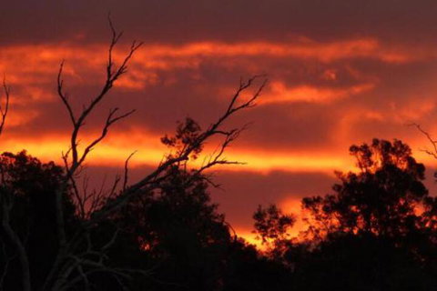 Launceston Bed & Breakfast Retreat - Accommodation Port Hedland 7