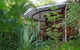 Mt Warning Rainforest Retreat - thumb 0