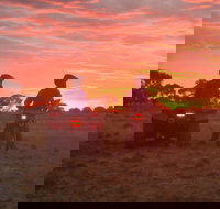 Corynnia Station - Accommodation Port Hedland