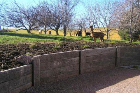 Valleyfield Cottage - Accommodation Port Hedland 4