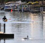 Sunsea Waterfront South Yunderup - Accommodation Port Hedland