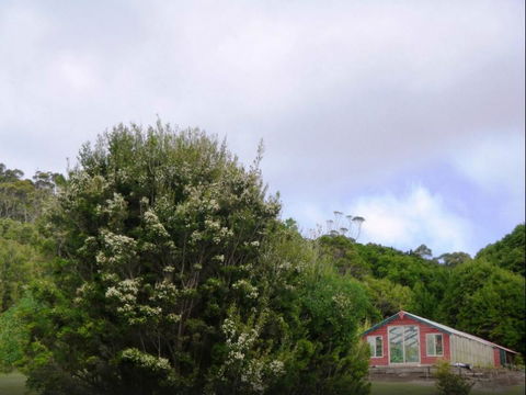 Rocky Glen Retreat King Island - Accommodation Port Hedland 6