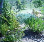 Old Miners Cottages Bed  Breakfast - Accommodation Port Hedland