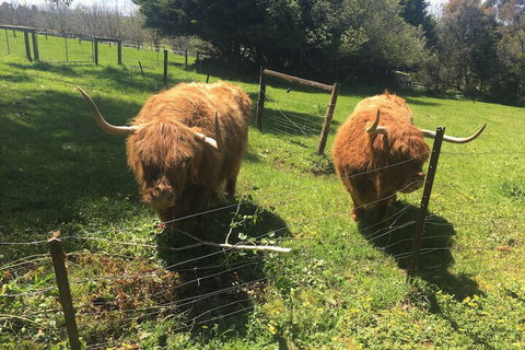 Neerim Country Cottages - Accommodation Port Hedland 2