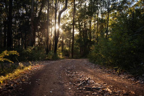 Mudstone Spa Retreat - Accommodation Port Hedland 5