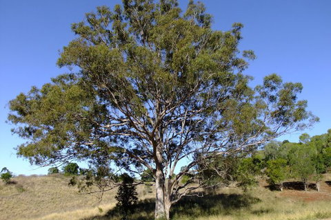 Deshons Retreat - Accommodation Port Hedland 7