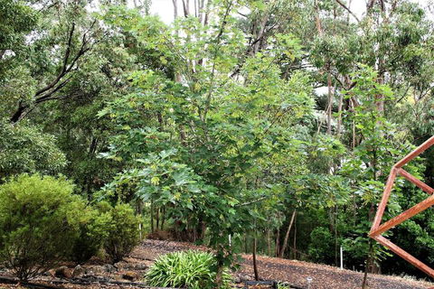 Tangenong Cottages - Accommodation Port Hedland 4