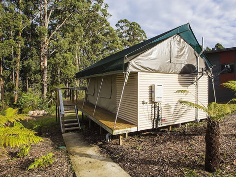 NRMA Port Arthur Holiday Park - Accommodation Port Hedland 4