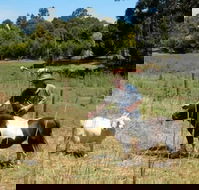 Country Cottages of Bridgetown - Accommodation Port Hedland