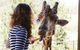 Jamala Wildlife Lodge - thumb 1