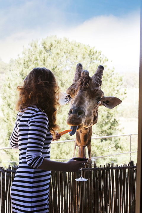 Jamala Wildlife Lodge - Accommodation Port Hedland 1