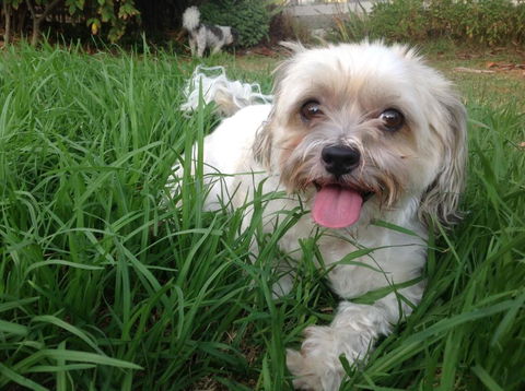 A Country Barn Retreat - Accommodation Port Hedland 3