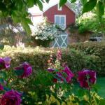 A Country Barn Retreat - Accommodation Port Hedland 0