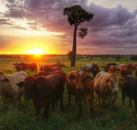 Myella Farm Stay - Accommodation Port Hedland
