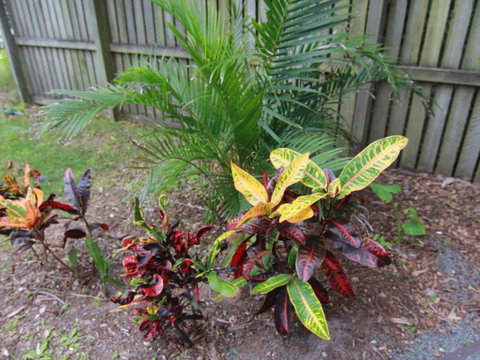 Beachside - Accommodation Port Hedland 4