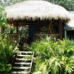 Mango Tourist Hostel - Accommodation Port Hedland 0