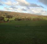 Mancuso Country Cottage Retreat - Accommodation Port Hedland