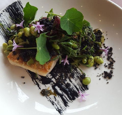 Ocean View Estates Winery And Restaurant - Accommodation Port Hedland 12