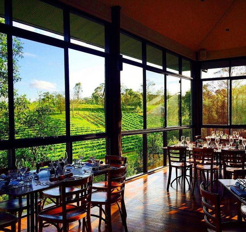 Ocean View Estates Winery And Restaurant - Accommodation Port Hedland 16