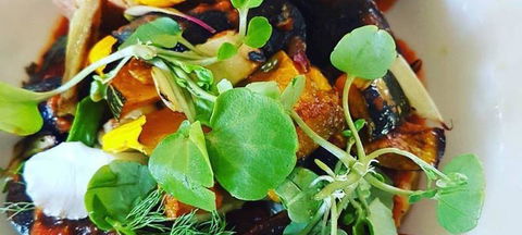 Ocean View Estates Winery And Restaurant - Accommodation Port Hedland 1