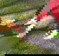 Glen Logan Restaurant - Accommodation Port Hedland