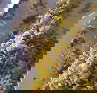 Horsham Masala Indian Restaurant - Accommodation Port Hedland