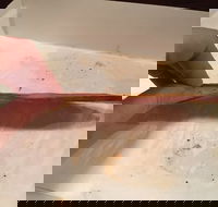 Burnsie's Pizza - Accommodation Port Hedland