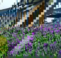 Dunkeld Old Bakery - Accommodation Port Hedland