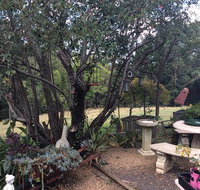 Leonies Little Tree Cafe
