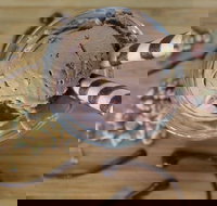 PN's Daily Scoop - Accommodation Port Hedland