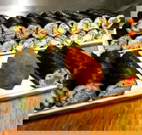 Freewave Sushi  Burgers - Accommodation Port Hedland