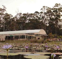 Abundance Cafe and Garden Centre - Accommodation Port Hedland