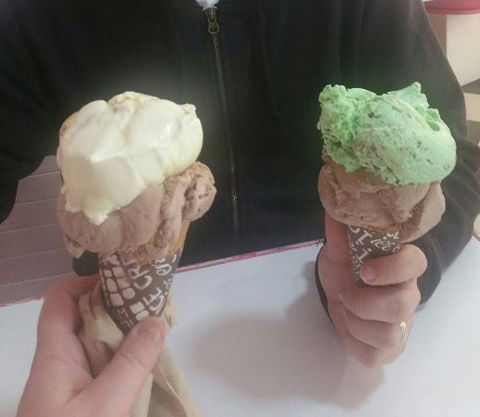 Annie's Old Fashioned Ice Cream Parlour - Accommodation Port Hedland 0
