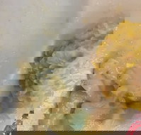 Champs Bistro - Accommodation Port Hedland