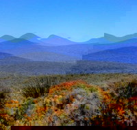Arcadia Wines - Accommodation Port Hedland