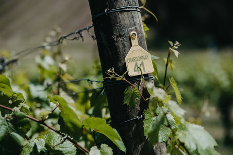 Kellybrook Winery And Kelly Brothers Cider - Accommodation Port Hedland 2