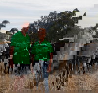 Milawa Organic Beef - Accommodation Port Hedland