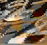 Perso - Accommodation Port Hedland