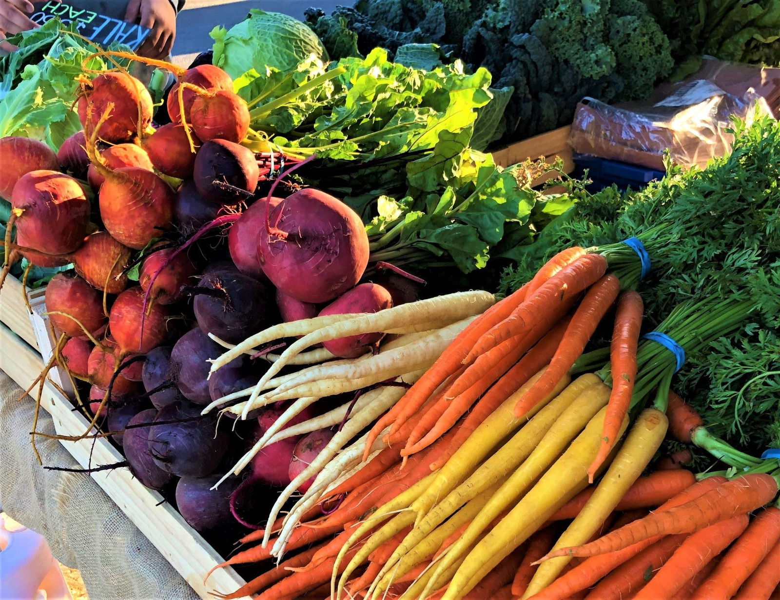 Stonefield SA Accommodation Port Hedland