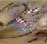 PN's Daily Scoop - Accommodation Port Hedland