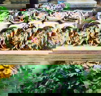 Salud Expresso Bar - Accommodation Port Hedland