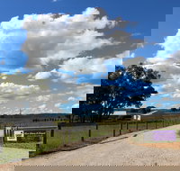 Short Sheep Micro-Winery - Accommodation Port Hedland