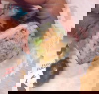 East Brunswick Hotel - Accommodation Port Hedland